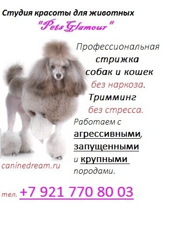 Стрижки в колпино отзывы Стрижки в колпино отзывы